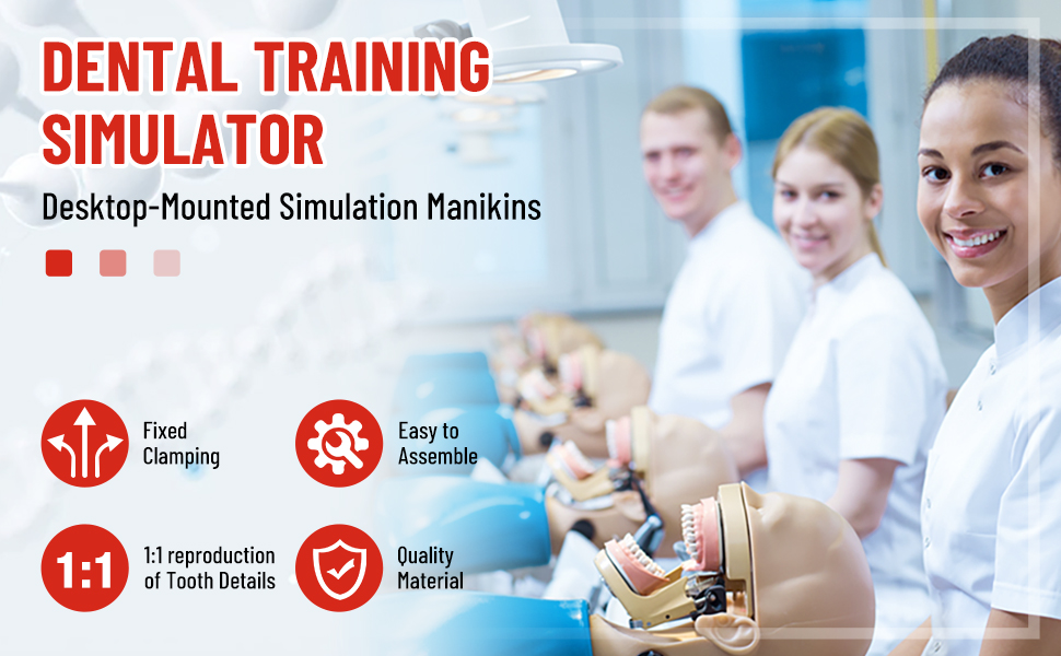 Dental training simulator