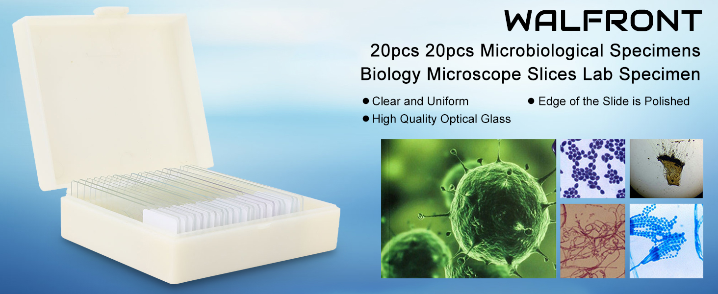 Biology And Pathology Prepared Microbiological Bacterial Specimens