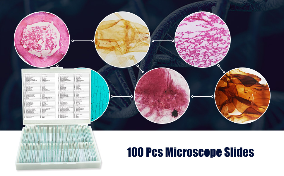 Microscope Slides