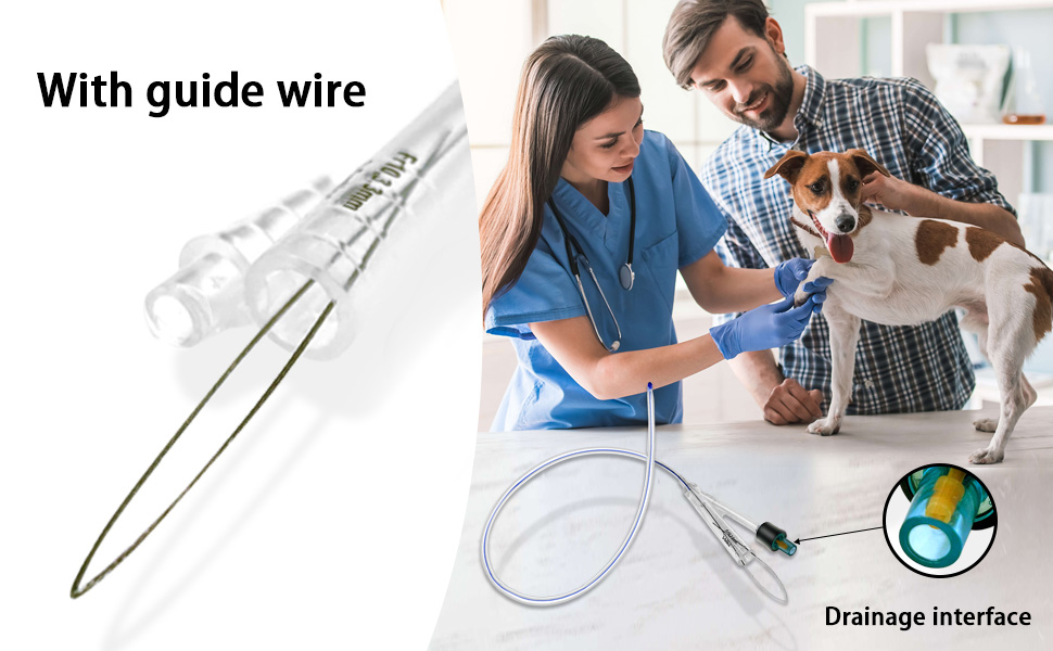 Dog Urinary Catheter