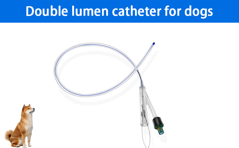Urine Catheter for Dogs