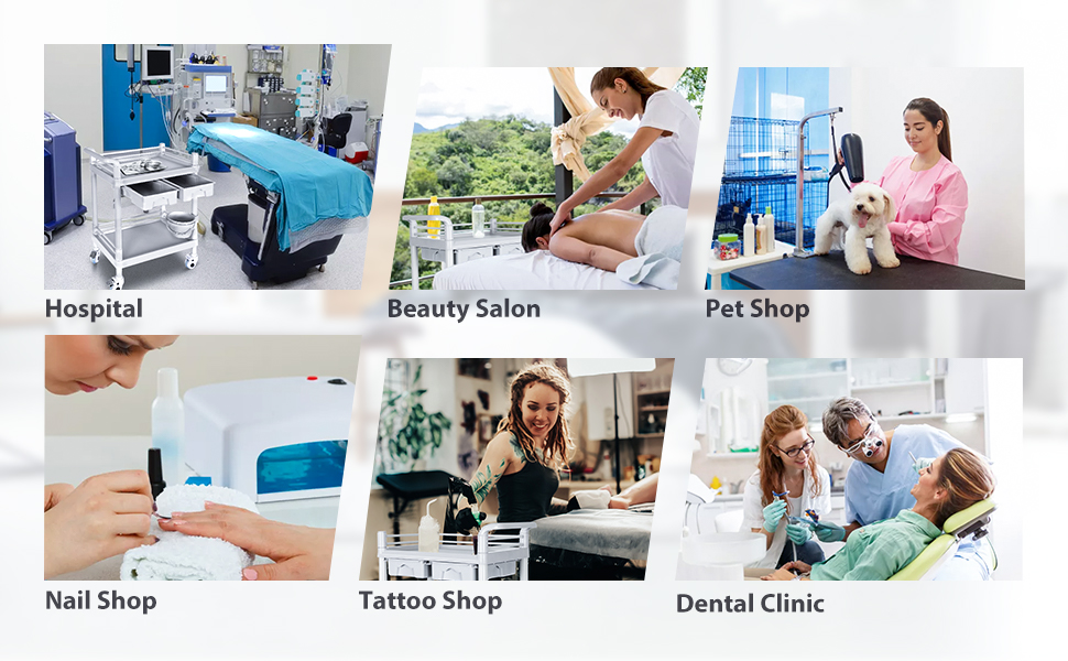 Mobile Medical Cart, 2 Tier Trolley 330 Lbs, with 2 Drawers Carts