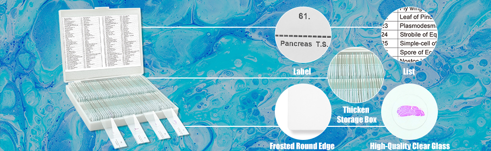 Microscope Slides