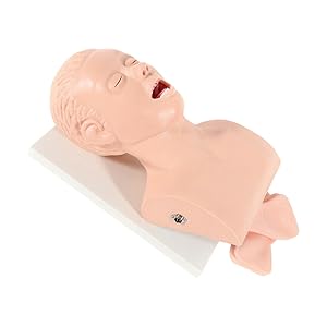 220V Intubation Model