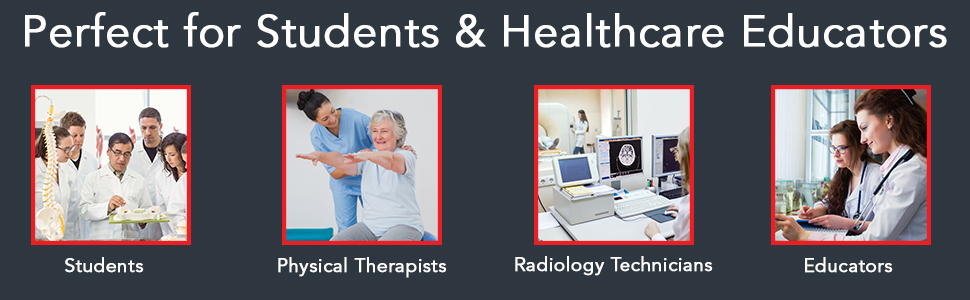 Perfect for Students, Physical Therapists, Radiology Technicians, Educators