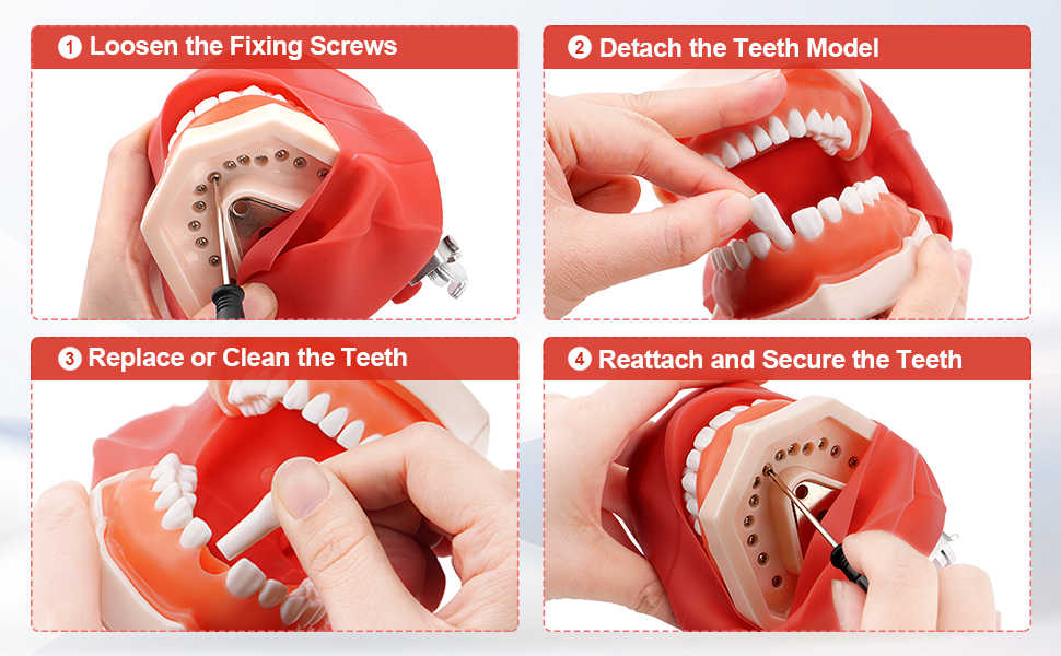 detachable teeth