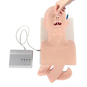 220V Intubation Model