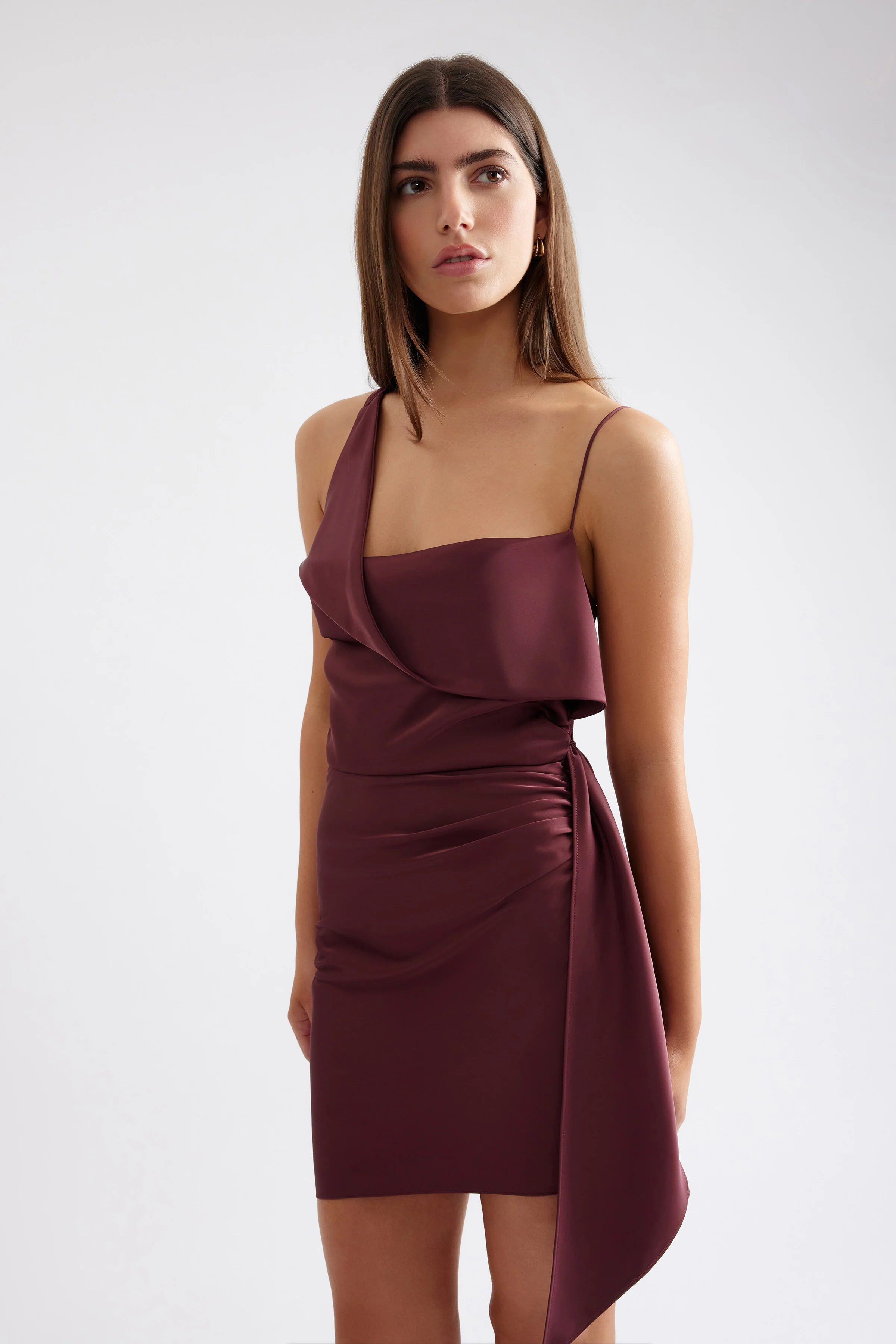 Sophie Dress - Plum - Poueer