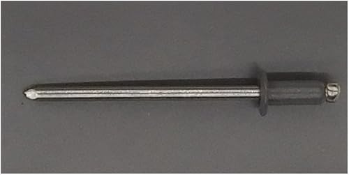 EAGLE 1: Stainless steel Rivets 1/8' x 1/4' (#43) (250, Light Stone) - Poueer