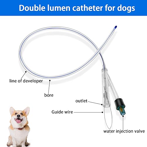 Dog Urinary Catheter – Dual-Lumen Catheter with Metal Guide Wire, Premium Silicone Urinary Catheter for All Dog Breeds (6Fr, Ø 2.0mm, L 32cm)-5PCS - Poueer