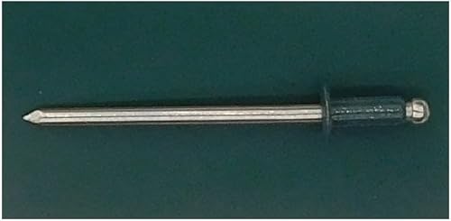 EAGLE 1: Stainless steel Rivets 1/8' x 1/4' (#43) (250, Light Stone) - Poueer