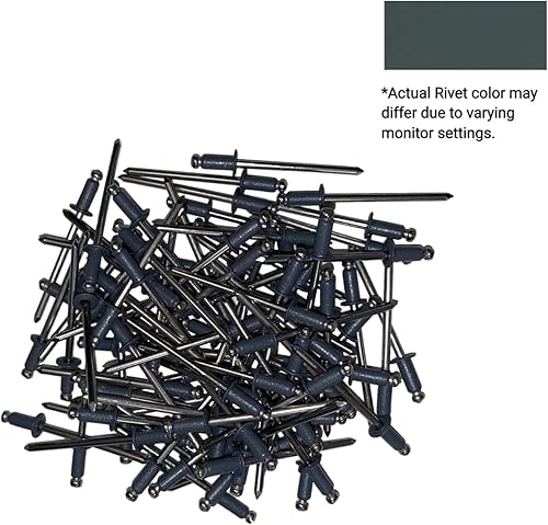 EAGLE 1: Stainless steel Rivets 1/8' x 1/4' (#43) (250, Light Stone) - Poueer