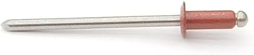 EAGLE 1: Stainless steel Rivets 1/8' x 1/4' (#43) (250, Light Stone) - Poueer