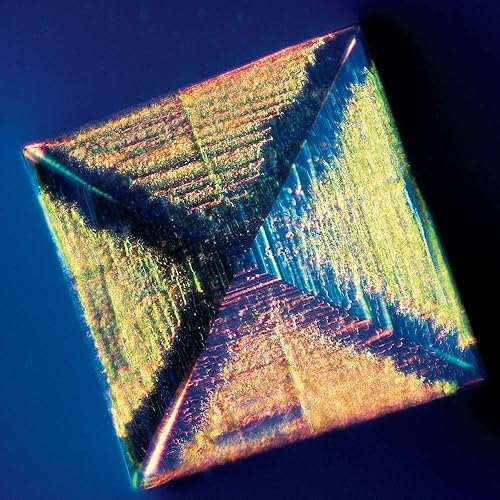 Beginner's Microscope Slide Set - Poueer