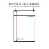 Trigger Points Laminated Chart - Poueer