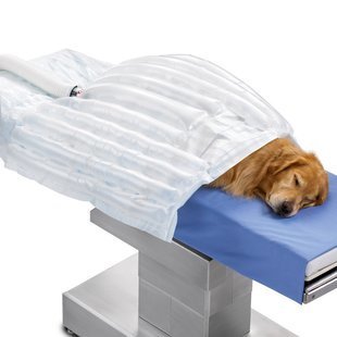 3M 31077 Bair Hugger Animal Health Blanket, Medium (Pack of 10) - Poueer