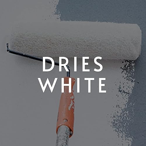 ROMAN PRO-977 White Wallpaper Primer - Pigmented Acrylic Primer for Wallcoverings and Home Improvement, Water-based - 1 Gallon, White - Poueer