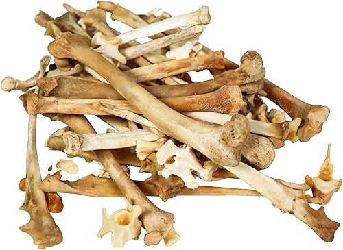 One Pound of Real Assorted Random Animal Bones: A - Poueer
