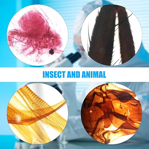 Microscope Slides, 100 Pcs Prepared Microscope Slides with Specimens for Kids Home School Class Learning - Poueer