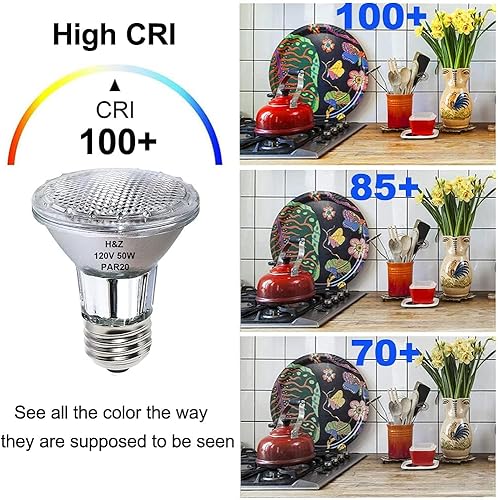 H&Z PAR20 Flood 39W 120V 480 Lumens, High Output 9 Pack 39W PAR20 Halogen Bulb (Equivalent 50W Halogen Bulb), Long Lasting PAR 20 Flood 39Watt 120V with 3000K Warm White, PAR 20 E26 Dimmable - Poueer