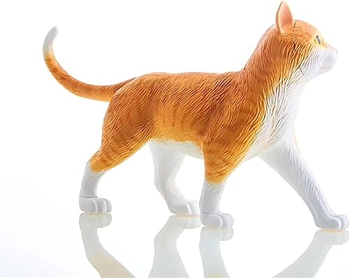 4D Dog Anatomy Model,Cat/Horse/Cow/Pig/AnimalCanine Skeleton, Animal Skeleton Specimen, Detachable Biology, Pet Clinic Veterinary TrainingSchool Teaching Tool,J - Poueer