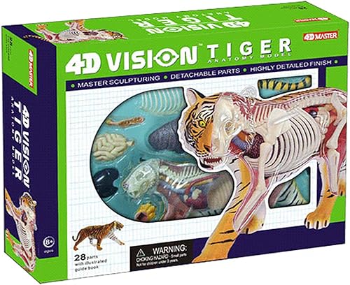 4D Dog Anatomy Model,Cat/Horse/Cow/Pig/AnimalCanine Skeleton, Animal Skeleton Specimen, Detachable Biology, Pet Clinic Veterinary TrainingSchool Teaching Tool,J - Poueer