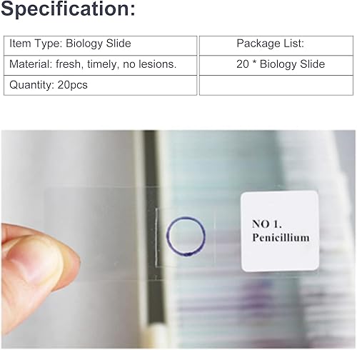 20pcs Microscope Slides Biology And Pathology Prepared Microbiological Bacterial Specimens Microscope Slide Set with Plastic Box - Poueer