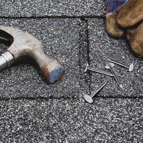 Grip Rite 112EGRFG10BK 1-1/2-inch Electro Galvanized Smooth Shank Bulk Roof Nails, 10lbs. - Poueer