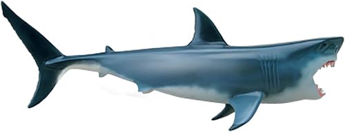 4D Dog Anatomy Model,Cat/Horse/Cow/Pig/AnimalCanine Skeleton, Animal Skeleton Specimen, Detachable Biology, Pet Clinic Veterinary TrainingSchool Teaching Tool,J - Poueer