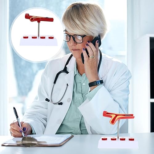 Gatuida Human Blood Vessel Model Vascular Model PVC Tool Human Body Human Cardiovascular Model - Poueer