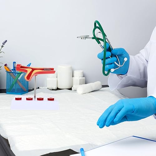 Gatuida Human Blood Vessel Model Vascular Model PVC Tool Human Body Human Cardiovascular Model - Poueer