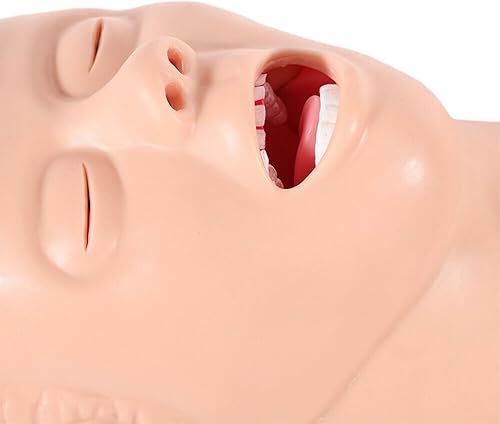 220V Intubation Model, PVC Manikin Study Teaching Model Airway Management Trainer Tool Oral Nasal Airway Intubation Kit Management Trainer with Alarm Machine & Power Adapter - Poueer