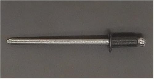 EAGLE 1: Stainless steel Rivets 1/8' x 1/4' (#43) (250, Light Stone) - Poueer