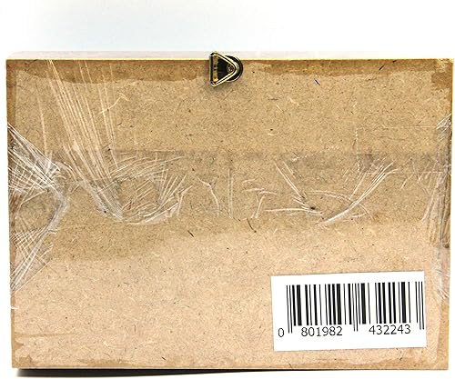 SET 5 REAL FROG LEGGED LEAF BEETLES SAGRA INSECT TAXIDERMY SET IN BOX / 3D WOODEN FRAME (Wooden Box) - Poueer