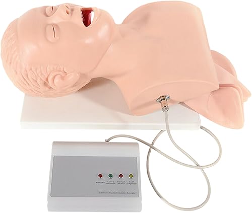 220V Intubation Model, PVC Manikin Study Teaching Model Airway Management Trainer Tool Oral Nasal Airway Intubation Kit Management Trainer with Alarm Machine & Power Adapter - Poueer