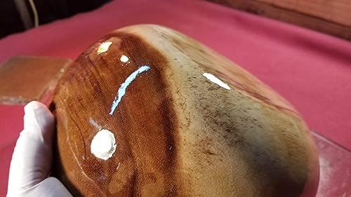 MAX CLR Resin System -Food Safe Coating FDA Compliant, High Gloss, Chemical Resistant, Crystal Clear Coating 4 Bar Tops & Tabletops & Wood Lathed Cups & Bowls- Clear Casting Resin - Poueer