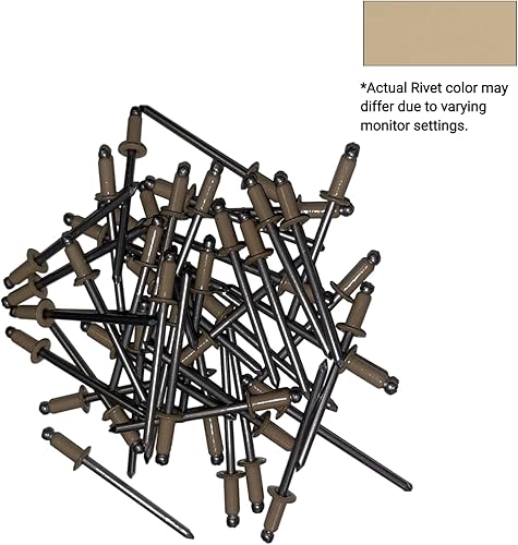 EAGLE 1: Stainless steel Rivets 1/8' x 1/4' (#43) (250, Light Stone) - Poueer