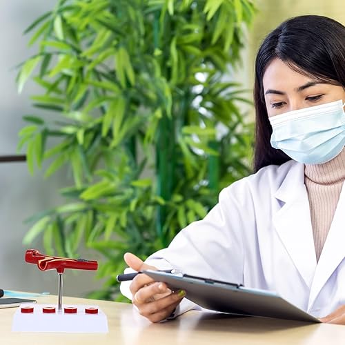 Gatuida Human Blood Vessel Model Vascular Model PVC Tool Human Body Human Cardiovascular Model - Poueer
