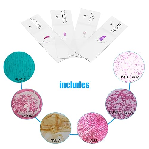 Microscope Slides, 100 Pcs Prepared Microscope Slides with Specimens for Kids Home School Class Learning - Poueer