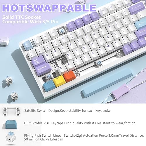 ATTACK SHARK X820ULTRA Wireless Gaming Mechanical Keyboard with TFT Smart Display&Knob,Side Printed PBT,Gasket Mounted 75% TKL Keyboard,BT5.0/2.4GHz/USB-C,RGB Backlit（White Contour,Shark Switch - Poueer