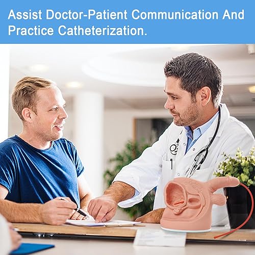 Male Catheterization Model Internal and External Genital Anatomy Model for Clinical Teaching and Medical Education Training Practice, 1 Piece - Poueer