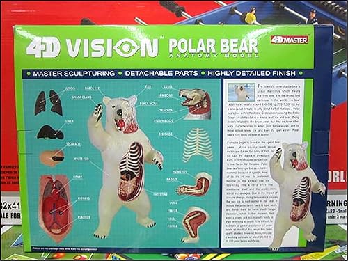 4D Dog Anatomy Model,Cat/Horse/Cow/Pig/AnimalCanine Skeleton, Animal Skeleton Specimen, Detachable Biology, Pet Clinic Veterinary TrainingSchool Teaching Tool,J - Poueer