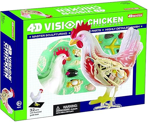 4D Dog Anatomy Model,Cat/Horse/Cow/Pig/AnimalCanine Skeleton, Animal Skeleton Specimen, Detachable Biology, Pet Clinic Veterinary TrainingSchool Teaching Tool,J - Poueer