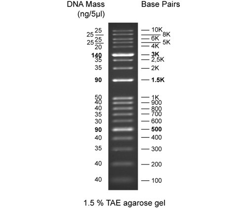 Gel - Discover DNA Ladder- 100-10-000bp - 86ug/500ul, PK - Poueer