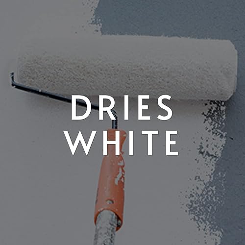 ROMAN PRO-977 White Wallpaper Primer - Pigmented Acrylic Primer for Wallcoverings and Home Improvement, Water-based - 1 Gallon, White - Poueer
