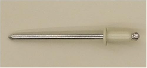 EAGLE 1: Stainless steel Rivets 1/8' x 1/4' (#43) (250, Light Stone) - Poueer