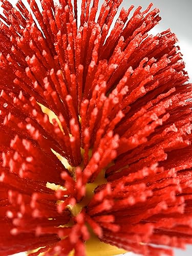 Signi Abrasive nylon bristle Burnishing Brush Drum Drawing Wheel for polishing wood (240 grit red) - Poueer