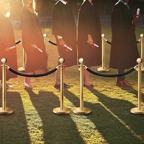 Fumete 6 Pieces Velvet Stanchion Rope Bulk 6.5 Feet Crowd Control Barriers Safety Velvet Rope with Polished Gold Hooks for Graduation Party Openings, Not Include Stanchion Post(Pink) - Poueer