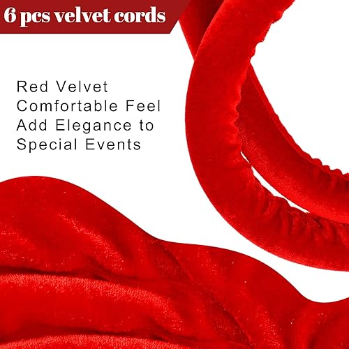 Fumete 6 Pieces Velvet Stanchion Rope Bulk 6.5 Feet Crowd Control Barriers Safety Velvet Rope with Polished Gold Hooks for Graduation Party Openings, Not Include Stanchion Post(Pink) - Poueer