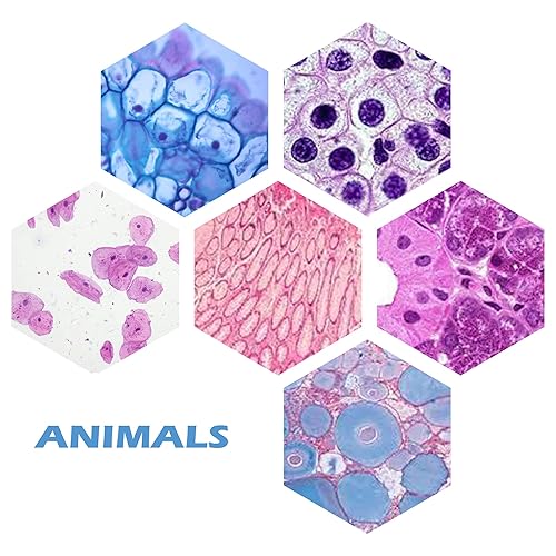 200 Packs Microscope Slides, 100 Plants & 100 Animal Tissues Includes Labels and Case for Biological Science Education - Poueer